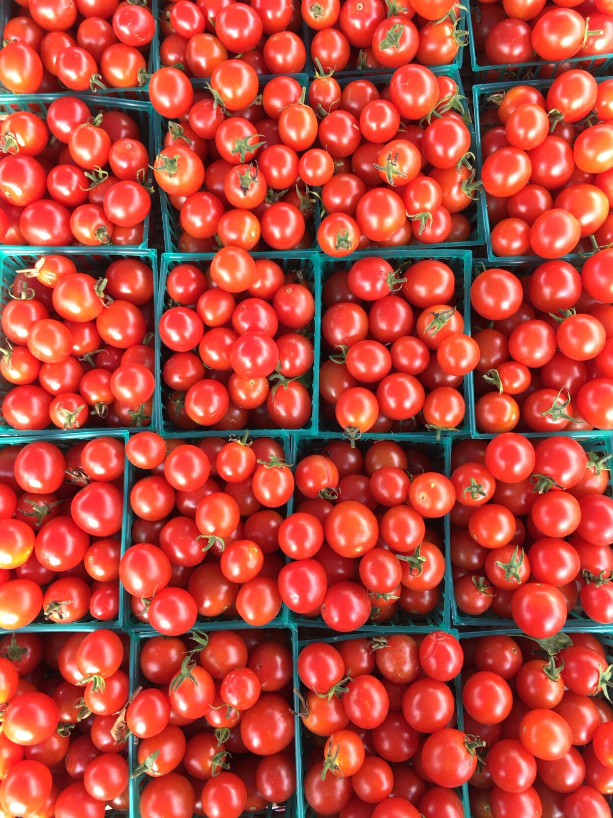 cherrytoms.jpg